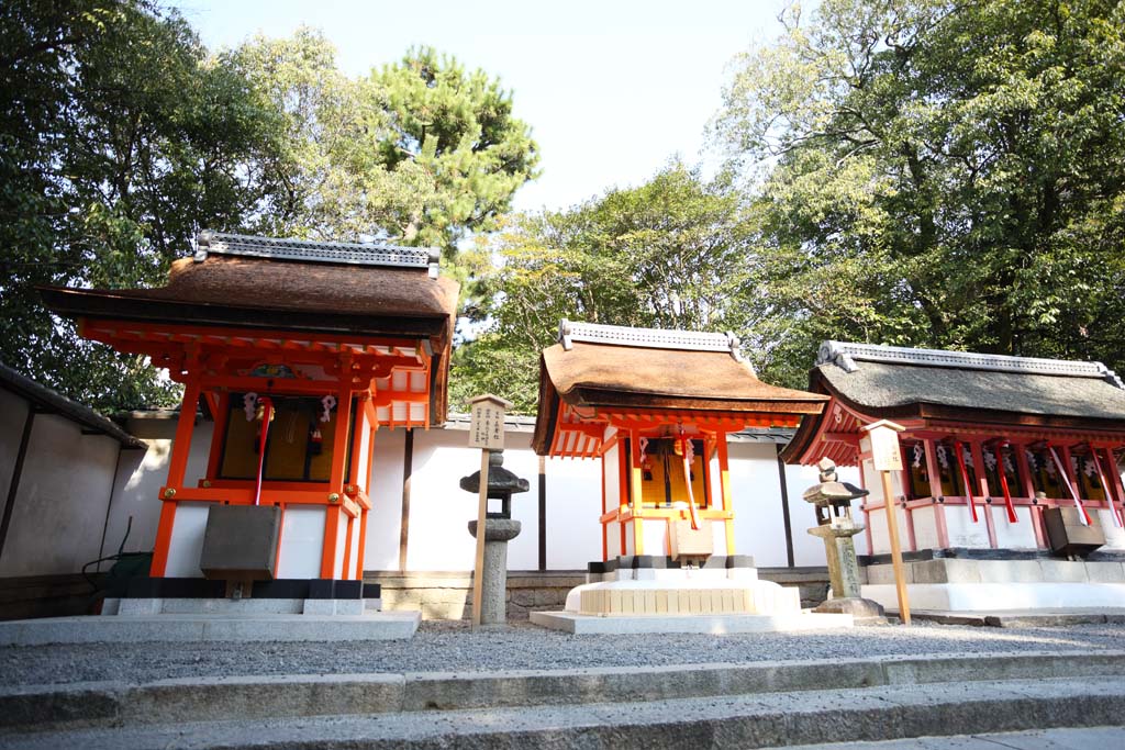 fotografia, materiale, libero il panorama, dipinga, fotografia di scorta,Fushimi-Inari Taisha il Sacrario burlone professionale, Scintoismo, Societ per azioni di figura centrale, Inari, volpe