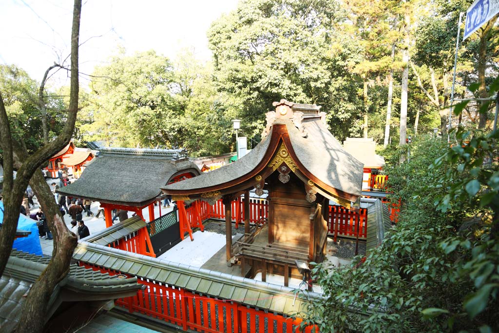 ,,, ,,,Fushimiinari  Inari Tamayama  ,      ,   ., Inari., .