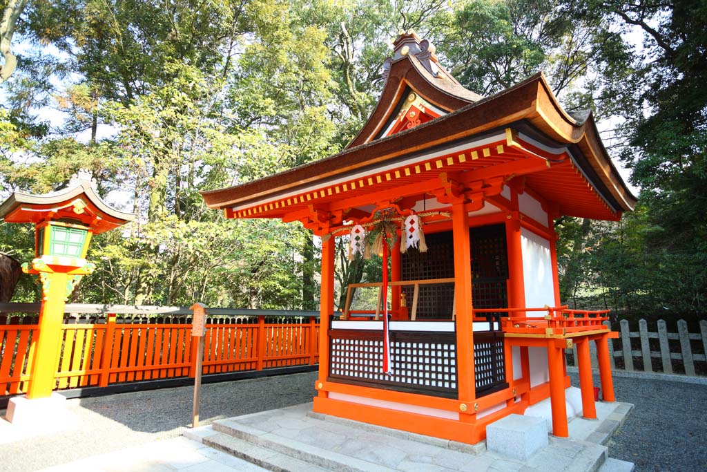 photo, la matire, libre, amnage, dcrivez, photo de la rserve,Fushimiinari farceur professionnel, La visite de nouvelle anne  un temple shintoste, Je suis peint en rouge, Inari, renard