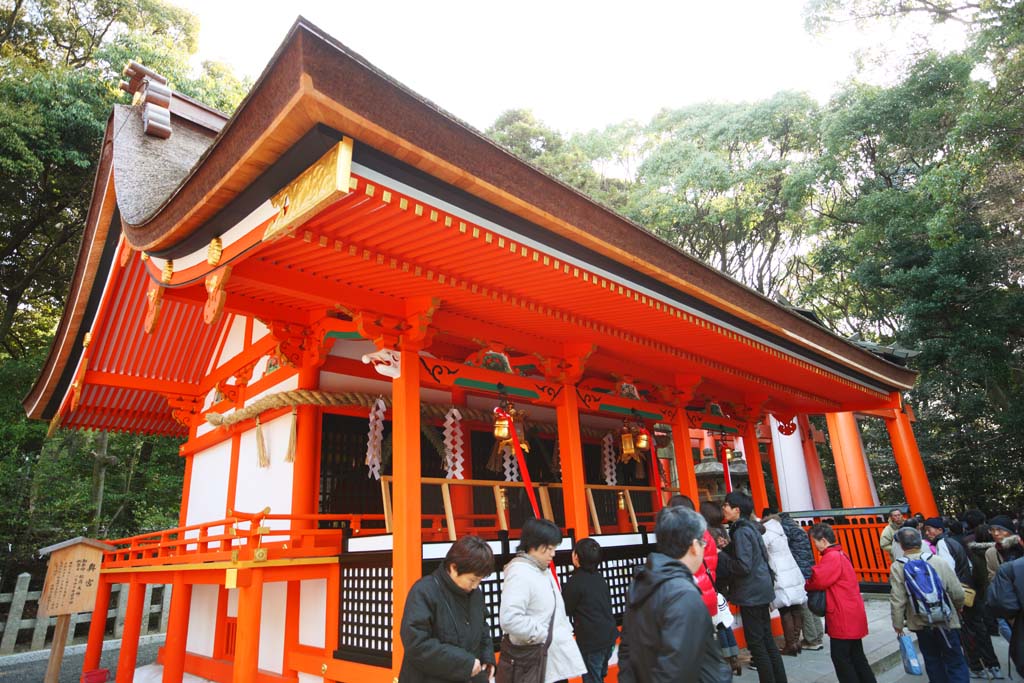 fotografia, materiale, libero il panorama, dipinga, fotografia di scorta,Il Sacrario del Fushimi-Inari Taisha profondo-mise sacrario, La visita di anno Nuovo ad un sacrario scintoista, Io sono dipinto in rosso, Inari, volpe