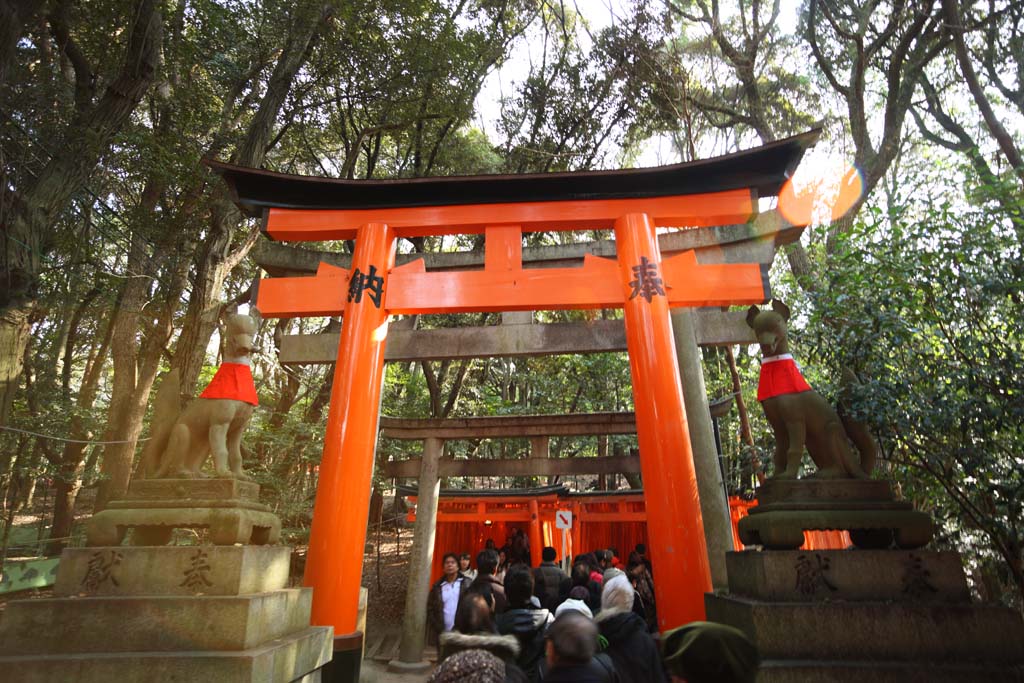 photo,material,free,landscape,picture,stock photo,Creative Commons,1,000 Fushimi-Inari Taisha Shrine toriis, New Year's visit to a Shinto shrine, torii, Inari, fox