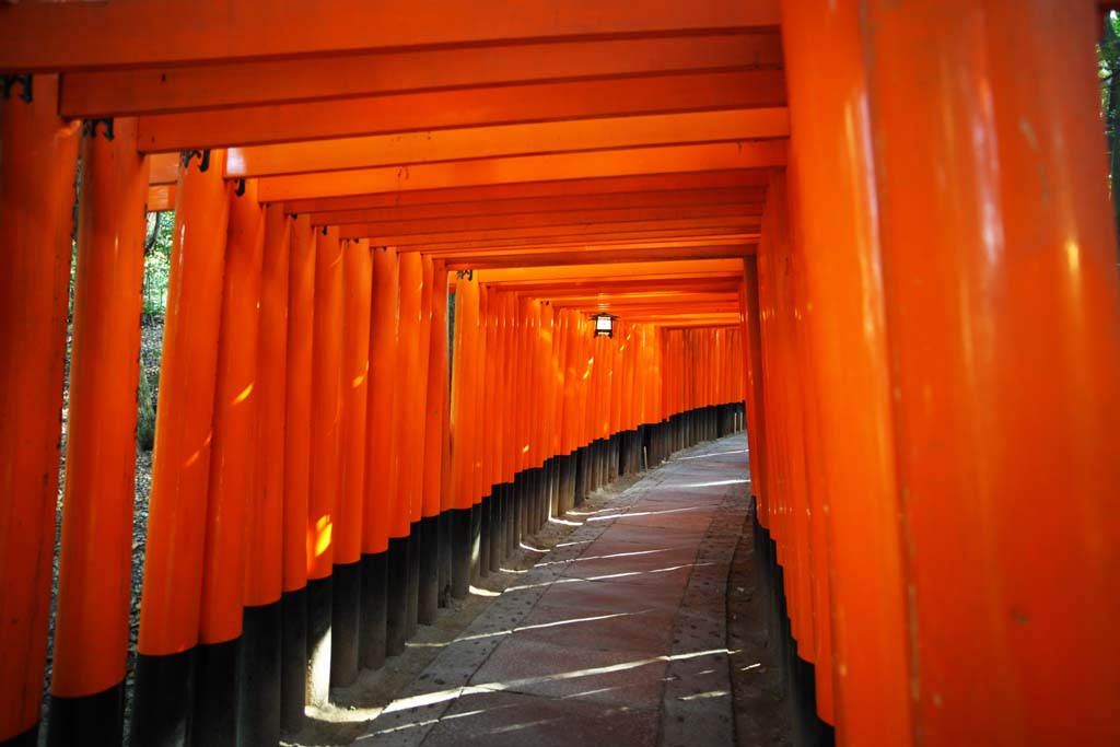 Foto, materiell, befreit, Landschaft, Bild, hat Foto auf Lager,1,000 Fushimi-Inari Taisha Shrine toriis, Neujahr besucht zu einem schintoistischen Schrein, torii, Inari, Fuchs