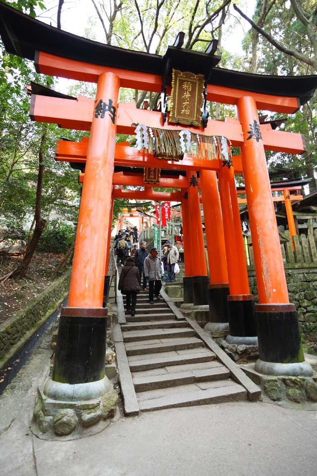 photo, la matire, libre, amnage, dcrivez, photo de la rserve,Fushimi-Inari Taisha torii de Temple, La visite de nouvelle anne  un temple shintoste, torii, Inari, renard