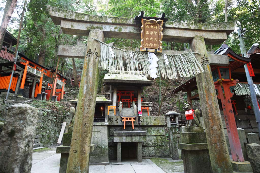 Foto, materiell, befreit, Landschaft, Bild, hat Foto auf Lager,Fushimi-Inari Taisha Shrine torii, Neujahr besucht zu einem schintoistischen Schrein, torii, Inari, Fuchs