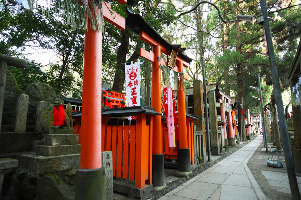 fotografia, material, livra, ajardine, imagine, proveja fotografia,Fushimi-Inari Taisha torii de Santurio, A visita de Ano novo para um santurio de Xintosmo, torii, Inari, raposa