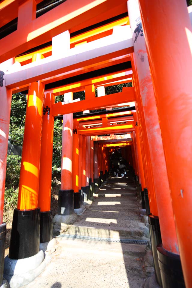 Foto, materiell, befreit, Landschaft, Bild, hat Foto auf Lager,Fushimi-Inari Taisha Shrine torii, Neujahr besucht zu einem schintoistischen Schrein, torii, Inari, Fuchs