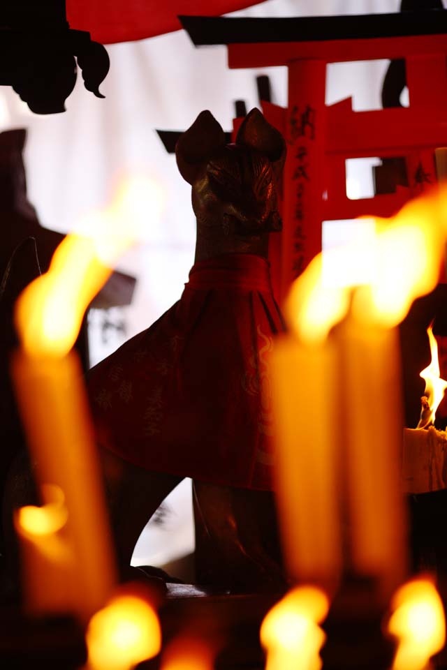 Foto, materiell, befreit, Landschaft, Bild, hat Foto auf Lager,Fushimi-Inari Taisha Shrine Falkenadlergesellschaft, Kerze, , Inari, Fuchs