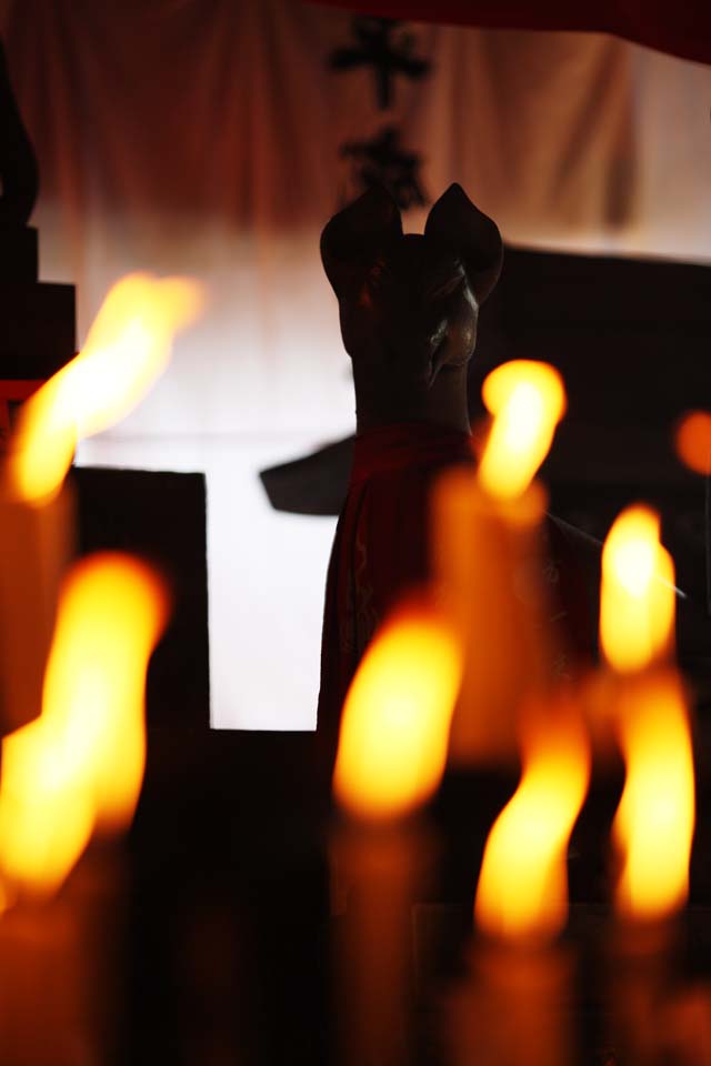 foto,tela,gratis,paisaje,fotografa,idea,Fushimi - Inari Taisha compaa de guila de halcn del santuario, Vela, , Inari, Zorro