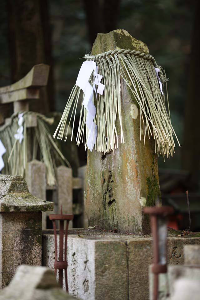 Foto, materieel, vrij, landschap, schilderstuk, bevoorraden foto,Fushimi-inari Taisha Shrine gravestone, Shinto stro festoon, Krant aanhangsel, Inari, Vos