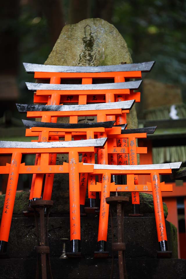 Foto, materieel, vrij, landschap, schilderstuk, bevoorraden foto,Fushimi-inari Taisha Shrine torii, Nieuw bezoek van Jaar naar een Shinto heiligdom, Torii, Inari, Vos