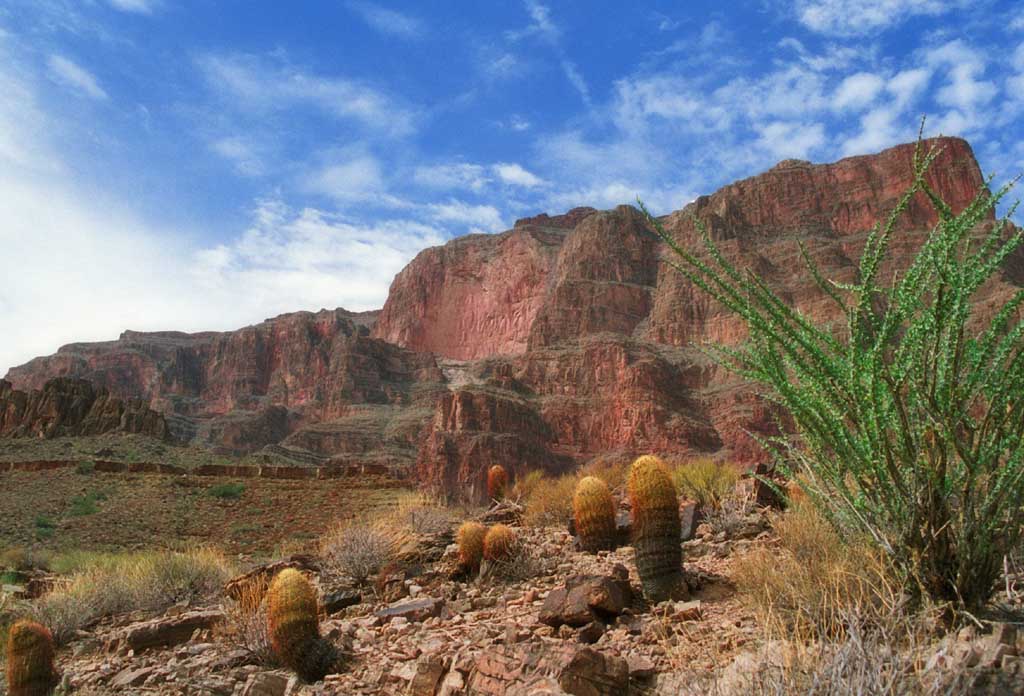 photo, la matire, libre, amnage, dcrivez, photo de la rserve,Grande valle 2, falaise, ciel bleu, cactus, 