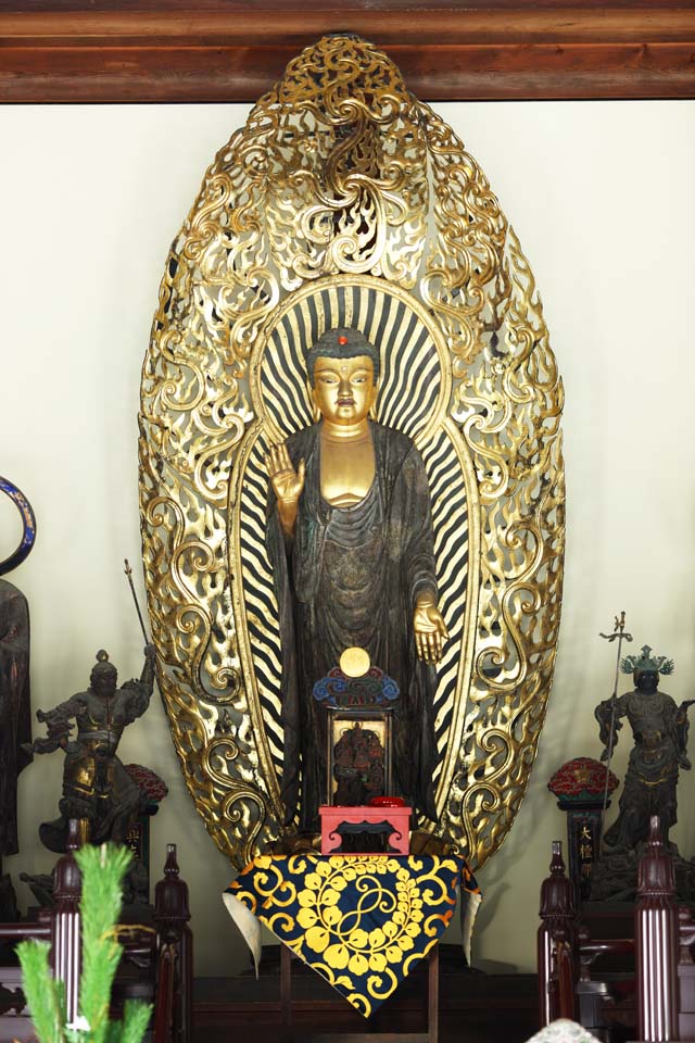 foto,tela,gratis,paisaje,fotografa,idea,Idea de Temple de Tofuku - ji de Buddha con sus dos santos Buddhist sobre cada idea de lados, Gold, Estatua, Idea Buddhist, dolo idea principal de Buddha con sus dos santos Buddhist sobre cada idea de lados