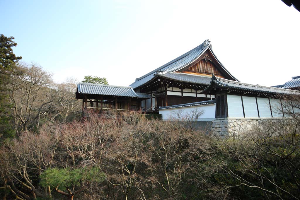 photo, la matire, libre, amnage, dcrivez, photo de la rserve,Temple Tofuku-ji prtre principal, Chaitya, Bouddhisme Zen, Porte du Chinois-style, paysage sec jardin de jardin japonais