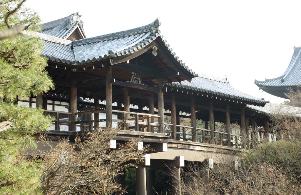 Foto, materieel, vrij, landschap, schilderstuk, bevoorraden foto,Tofuku-ji Tempel leidende tot de lucht brug, Chaitya, Brug, Brug corridor over, 