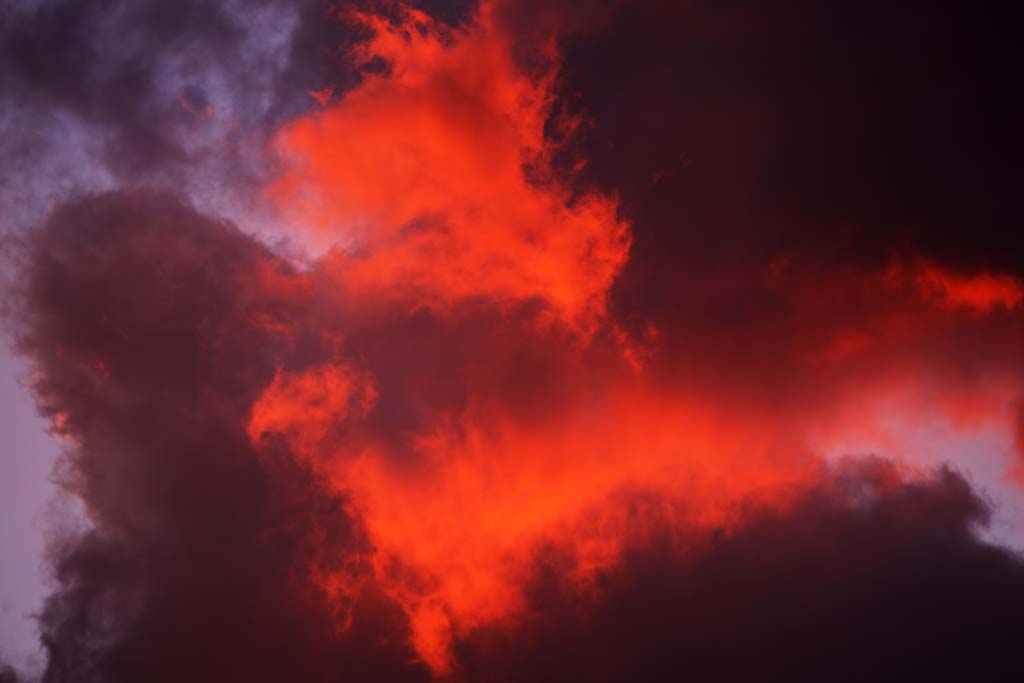 Foto, materieel, vrij, landschap, schilderstuk, bevoorraden foto,De draak van de zonsondergang bewolking, Hersenschim, Rood, Wolk, Bij donker