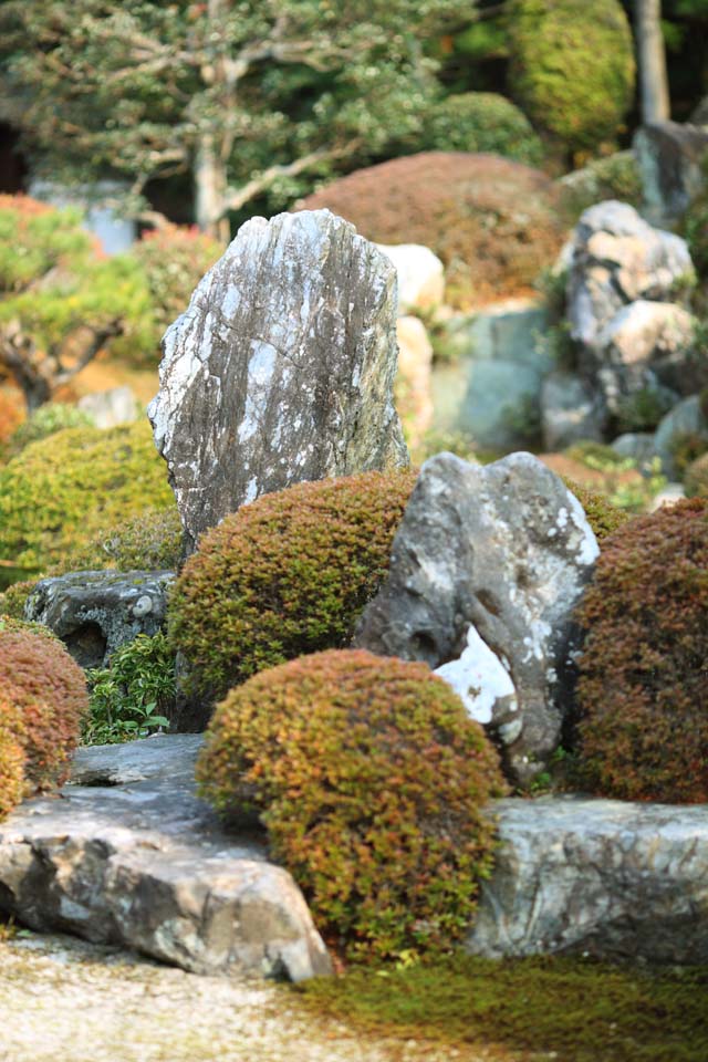 Foto, materiell, befreit, Landschaft, Bild, hat Foto auf Lager,Der Schreingarten von Tofuku-ji Temple-Grnder, Chaitya, Japanisch grtnert, Stein, Der Beifu schlt Hgel und Flsse ab