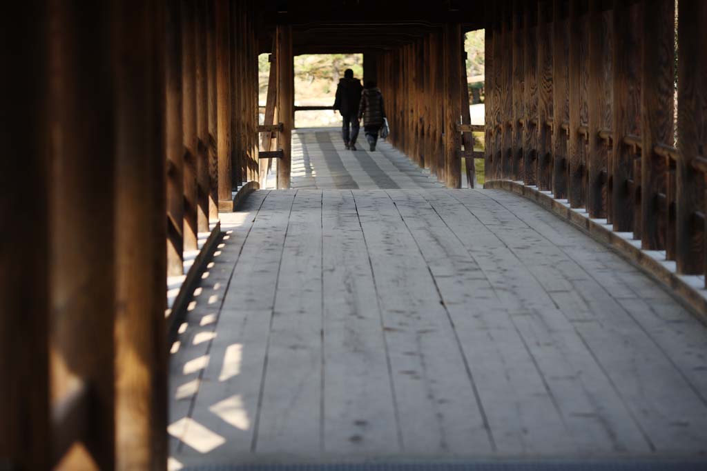 Foto, materieel, vrij, landschap, schilderstuk, bevoorraden foto,Tofuku-ji Tempel leidende tot de lucht brug, Chaitya, Brug, Brug corridor over, 