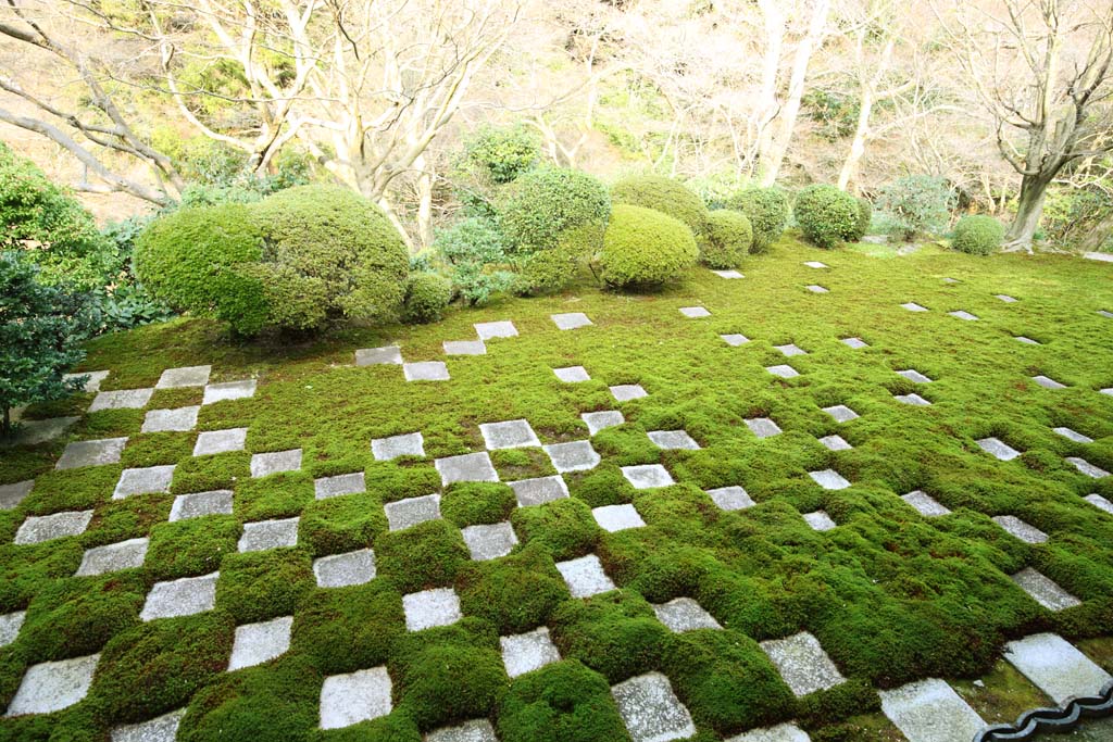 photo, la matire, libre, amnage, dcrivez, photo de la rserve,Temple Tofuku-ji prtre principal jardin nord, Chaitya, Chques, Porte du Chinois-style, arrire-cour