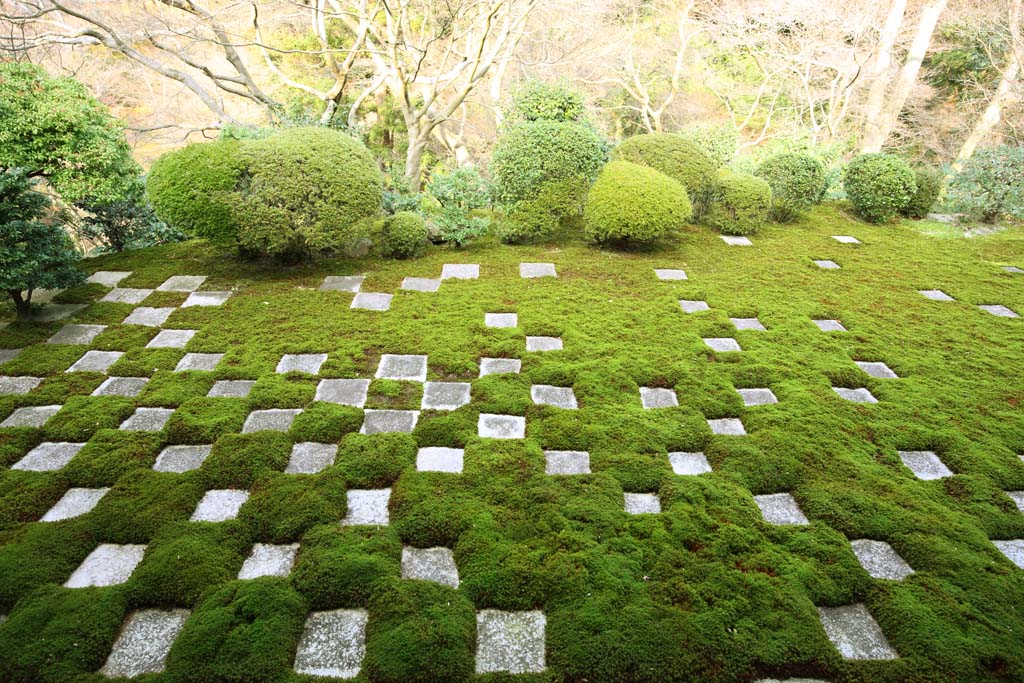 foto,tela,gratis,paisaje,fotografa,idea,Tofuku - ji templo chief sacerdote jardn de norte, Chaitya, Verifica, Puerta chino -style, Jardn trasero