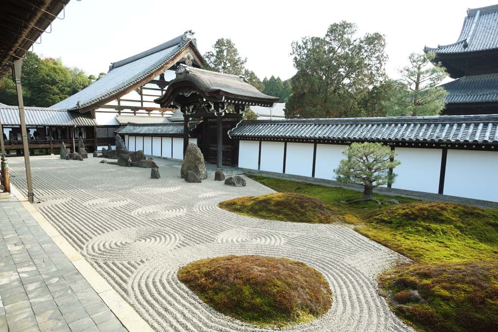 foto,tela,gratis,paisaje,fotografa,idea,Tofuku - ji templo chief sacerdote encabeza yarda del Hall para las ceremonias estatales, Chaitya, Roca, Puerta chino -style, Paisaje jardn de jardn japons seco