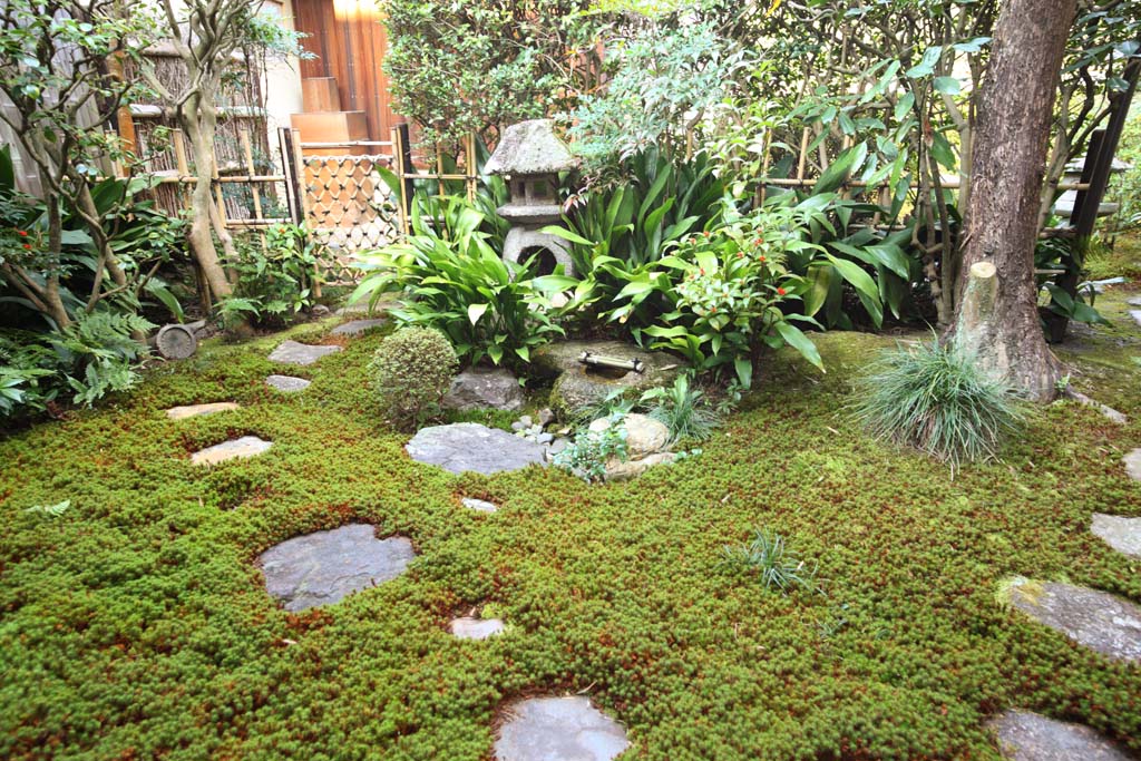 photo, la matire, libre, amnage, dcrivez, photo de la rserve,Fundain Sesshu temple, Chaitya, lanterne du jardin de la forme du brocanteur, Japonais jardine, cuvette