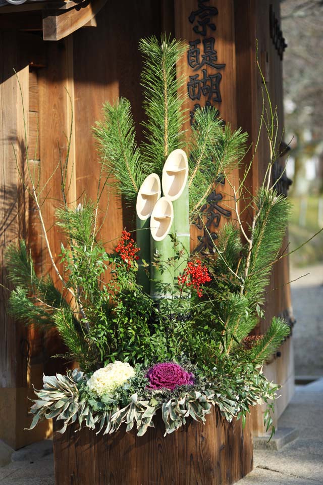 Foto, materieel, vrij, landschap, schilderstuk, bevoorraden foto,Daigo-ji Temple pijnboom van New Year en bamboo decoraties, Nieuwjaar vakantiedagen, Bamboo, Decoratieve kool, Pijnboom