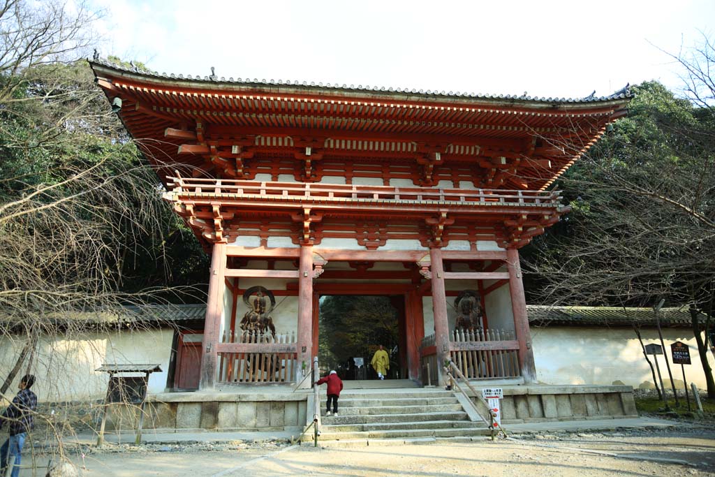 fotografia, materiale, libero il panorama, dipinga, fotografia di scorta,Tempio di Daigo-ji il cancello di Deva, Chaitya, Immagine buddista, Due re di Deva, Deva King l'immagine