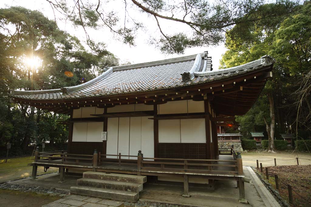 fotografia, materiale, libero il panorama, dipinga, fotografia di scorta,Tempio di Daigo-ji il sacrario di Kiyotaki sacrario anteriore, Chaitya, Kiyotaki titolo onorifico di un dio giapponese, Societ per azioni di divinit locale, shoji