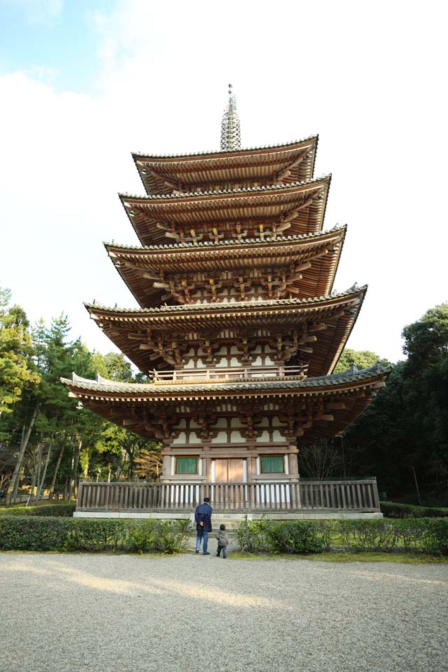 fotografia, material, livra, ajardine, imagine, proveja fotografia,Templo de Daigo-ji cinco pagode de Storeyed, Chaitya, Eu sou pintado em vermelho, dois mandala de mundos, Quadro de Budismo esotrico japons