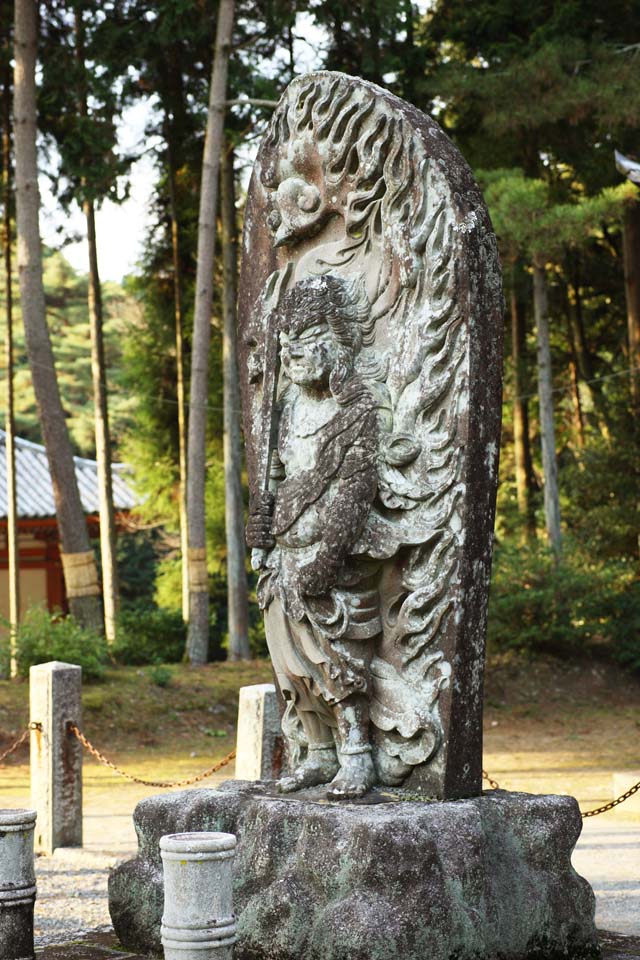 foto,tela,gratis,paisaje,fotografa,idea,Temple Acala idea de Daigo - ji, Chaitya, Goma, Estatua de piedra, Una idea de Acala