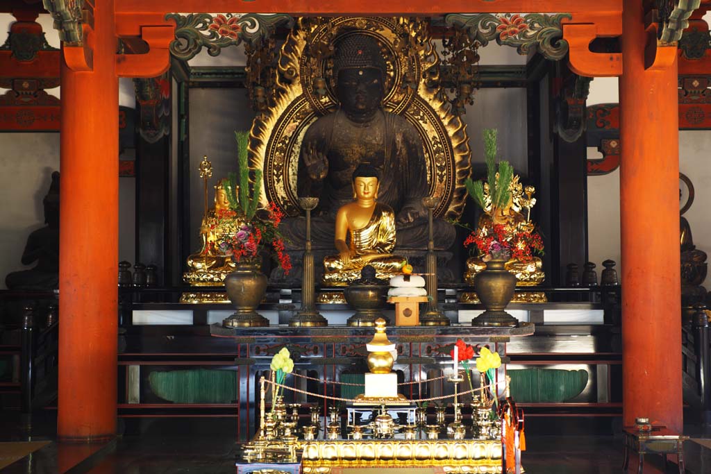 fotografia, materiale, libero il panorama, dipinga, fotografia di scorta,Tempio di Daigo-ji Amitabha immagine sedentaria, Chaitya, Immagine buddista, Soldi, Dainichi Budda immagine sedentaria