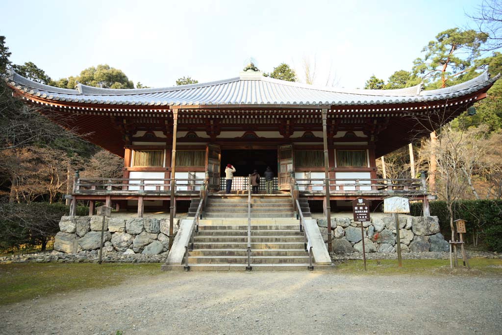 Foto, materiell, befreit, Landschaft, Bild, hat Foto auf Lager,Daigo-ji Temple groartige Halle, Chaitya, Gro Dempo-in Tempel, Ein Amitabha sitzendes Bild, Pyramide-geformtes Dach