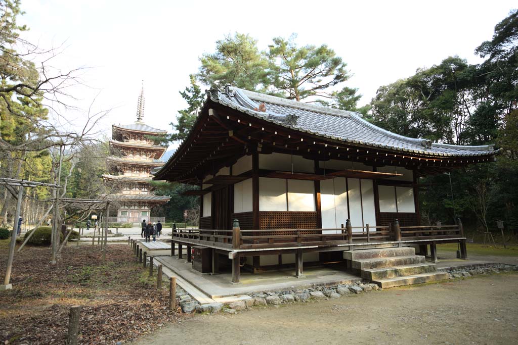 foto,tela,gratis,paisaje,fotografa,idea,Temple Kiyotaki santuario santuario primero de Daigo - ji, Chaitya, Ttulo de ttulo honorfico de Kiyotaki de un dios japons, Sociedad annima de deidad locales, Shoji