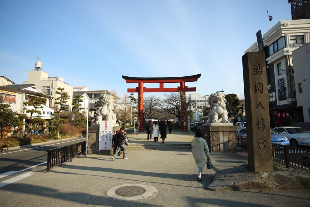 Foto, materieel, vrij, landschap, schilderstuk, bevoorraden foto,Hachiman-gu Heiligdom benadering van een heiligdom, Torii, Tweetal van stenige beschermer honden, Een benadering van een heiligdom, Lantaarn