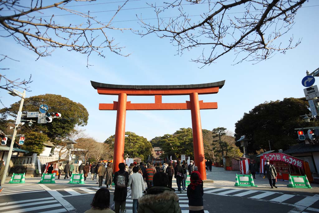 fotografia, materiale, libero il panorama, dipinga, fotografia di scorta,Hachiman-gu approccio di Sacrario ad un sacrario, torii, La visita di anno Nuovo ad un sacrario scintoista, Un approccio ad un sacrario, passaggio pedonale