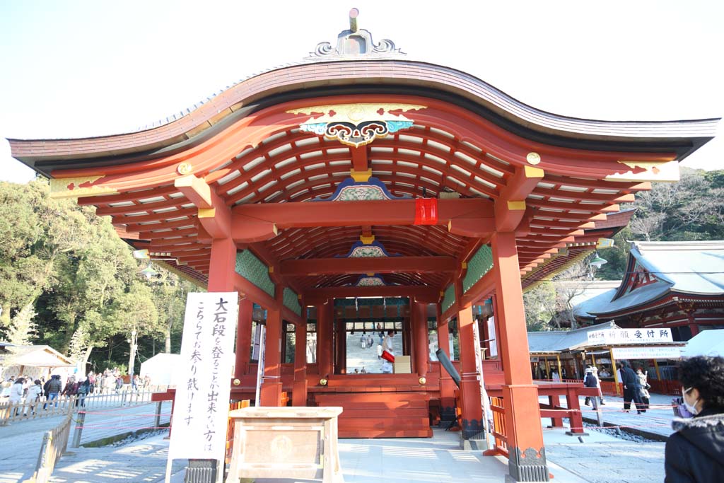 photo,material,free,landscape,picture,stock photo,Creative Commons,Hachiman-gu Shrine Mai, Static dear, lower front shrine, I am painted in red, Dancing