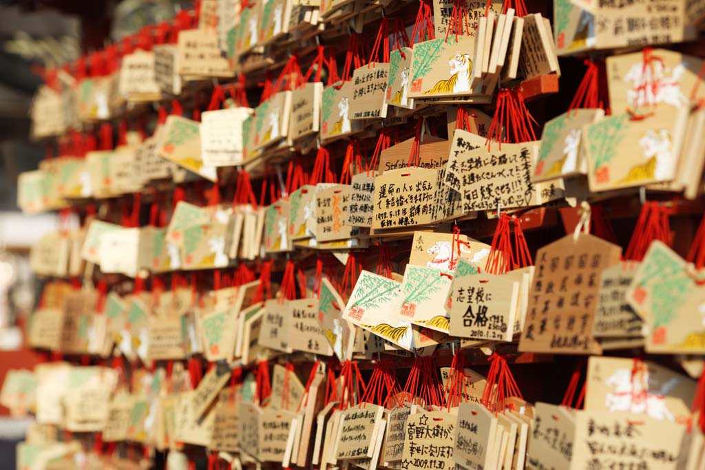 photo,material,free,landscape,picture,stock photo,Creative Commons,Hachiman-gu Shrine votive tablet, New Year holidays, mascot, wish, votive tablet