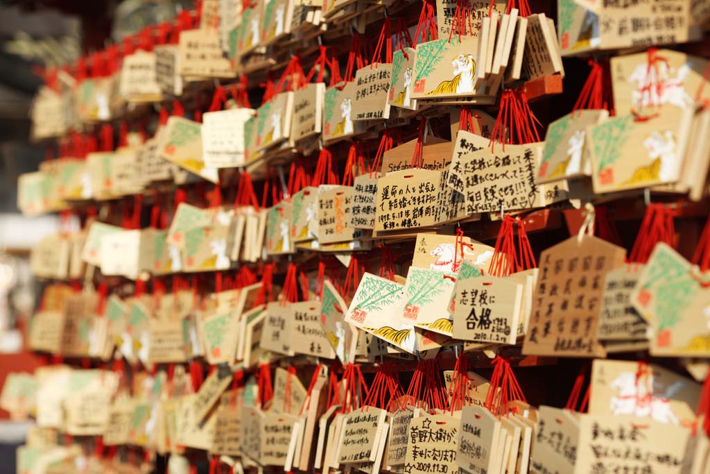 fotografia, materiale, libero il panorama, dipinga, fotografia di scorta,Hachiman-gu tavoletta di votive di Sacrario, Anno Nuovo le feste, mascotte, augurio, tavoletta di votive