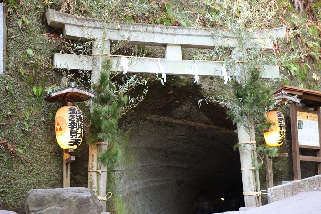 photo,material,free,landscape,picture,stock photo,Creative Commons,Zeniarai-benten Shrine torii, torii, tunnel, Wife of chief zen-priest, Money-making