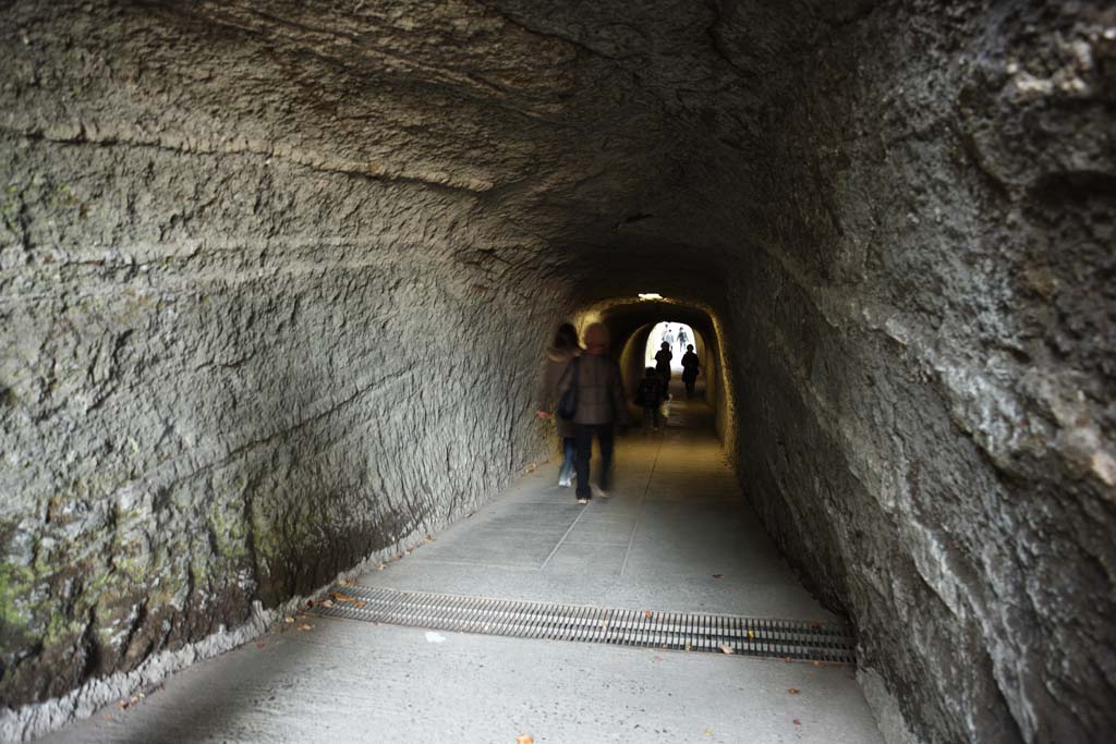 Foto, materieel, vrij, landschap, schilderstuk, bevoorraden foto,Zeniarai-benten Heiligdom tunnel, Adoratie, Tunnel, Vrouw van de opperhoofd zen-pastoor, Geld-vervaardiging