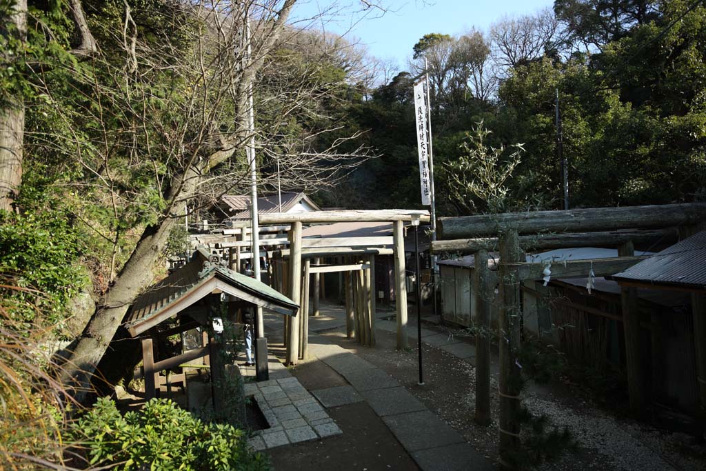 photo, la matire, libre, amnage, dcrivez, photo de la rserve,Torii de Temple Zeniarai-benten, torii, Adoration, Femme de zen-prtre principal, Lucratif