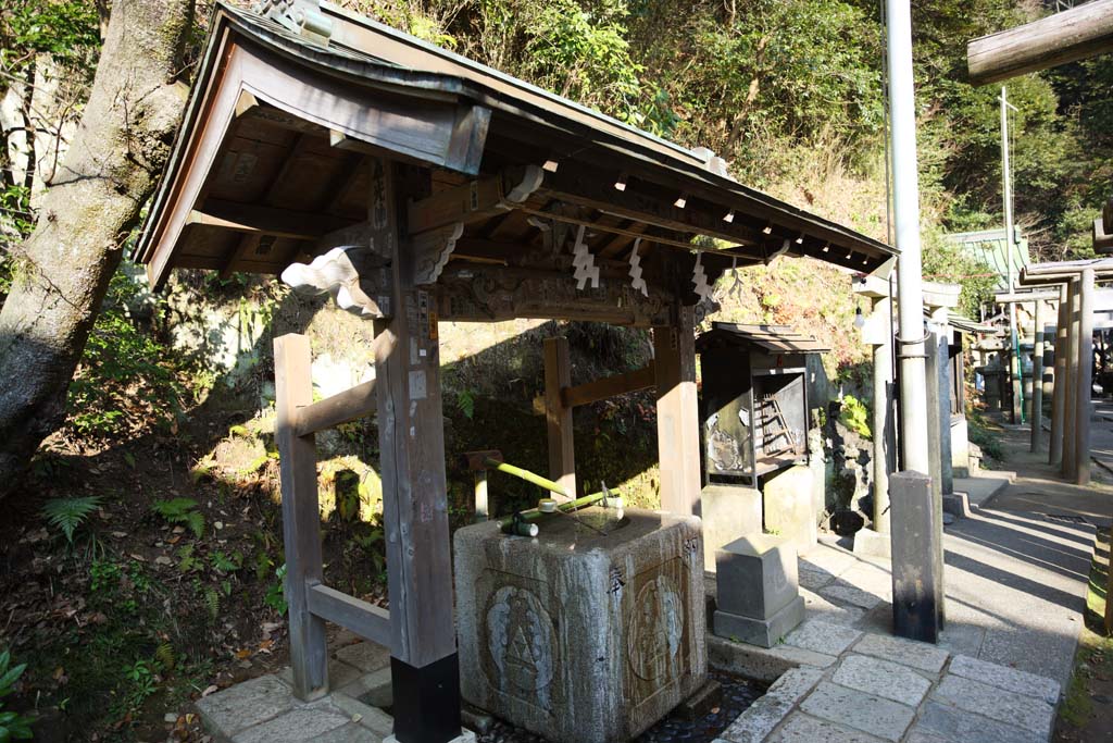 fotografia, materiale, libero il panorama, dipinga, fotografia di scorta,Le installazioni di Sacrario di Zeniarai-benten, Festone di paglia scintoista, Adorazione, Moglie di zen-prete principale, Lucrativo