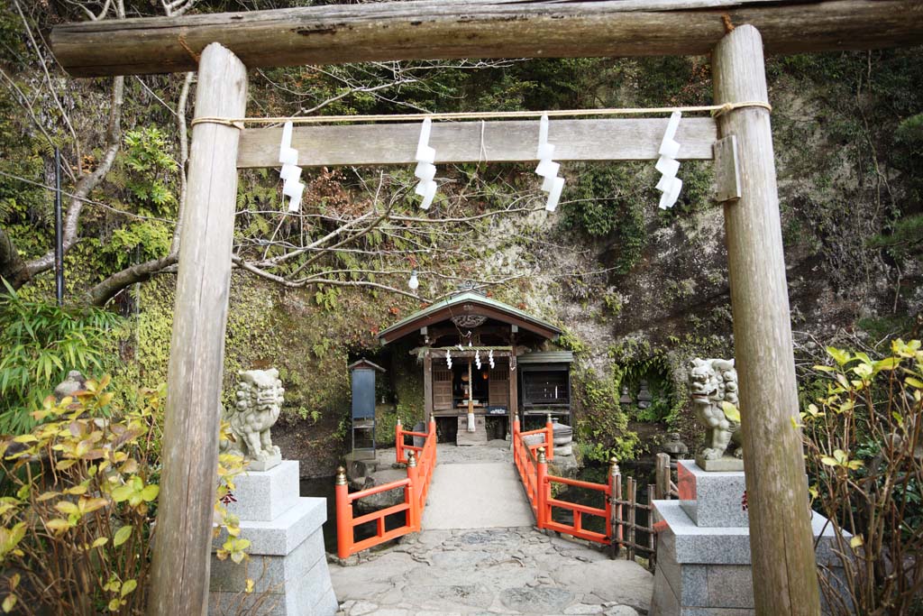 Foto, materieel, vrij, landschap, schilderstuk, bevoorraden foto,Zeniarai-benten Heiligdom, Torii, Tweetal van stenige beschermer honden, Spiegel, Geld-vervaardiging