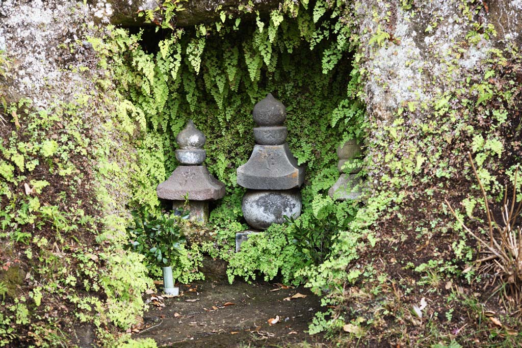 Foto, materiell, befreit, Landschaft, Bild, hat Foto auf Lager,Zeniarai-benten Shrine-Hgel, Sanskritcharaktere, Hhle, Frau des Hauptzen-Priesters, Profitabel