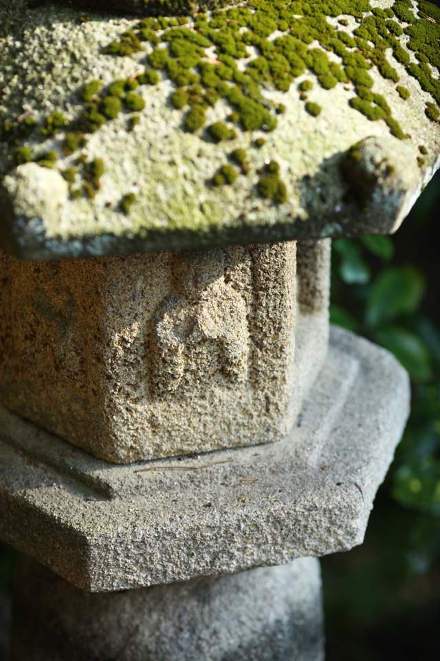 photo, la matire, libre, amnage, dcrivez, photo de la rserve,Temple Zeniarai-benten lanterne de pierre, lanterne de pierre, Bouddha, Femme de zen-prtre principal, Lucratif