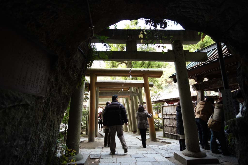 Foto, materiell, befreit, Landschaft, Bild, hat Foto auf Lager,Zeniarai-benten Shrine-Tunnel, torii, Tunnel, Frau des Hauptzen-Priesters, Profitabel