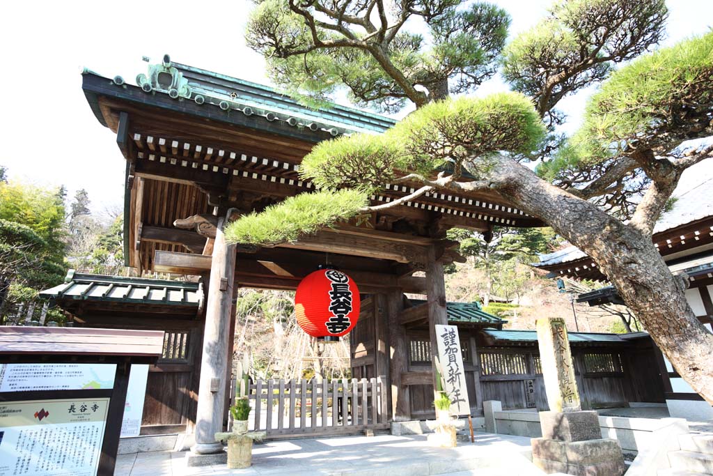 Foto, materiell, befreit, Landschaft, Bild, hat Foto auf Lager,Das Hase-dera Temple-Tor, Laterne, Kiefer, Buddhismus, Chaitya