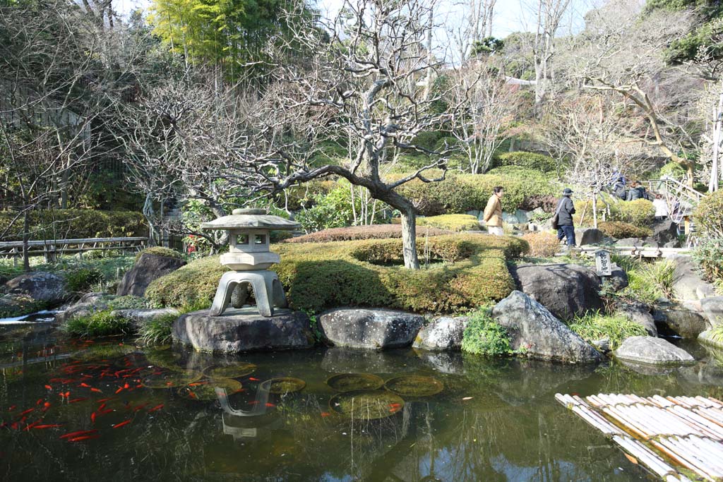 photo, la matire, libre, amnage, dcrivez, photo de la rserve,Jardin de Temple Hase-dera, lanterne de pierre, poisson rouge, Bouddhisme, Chaitya