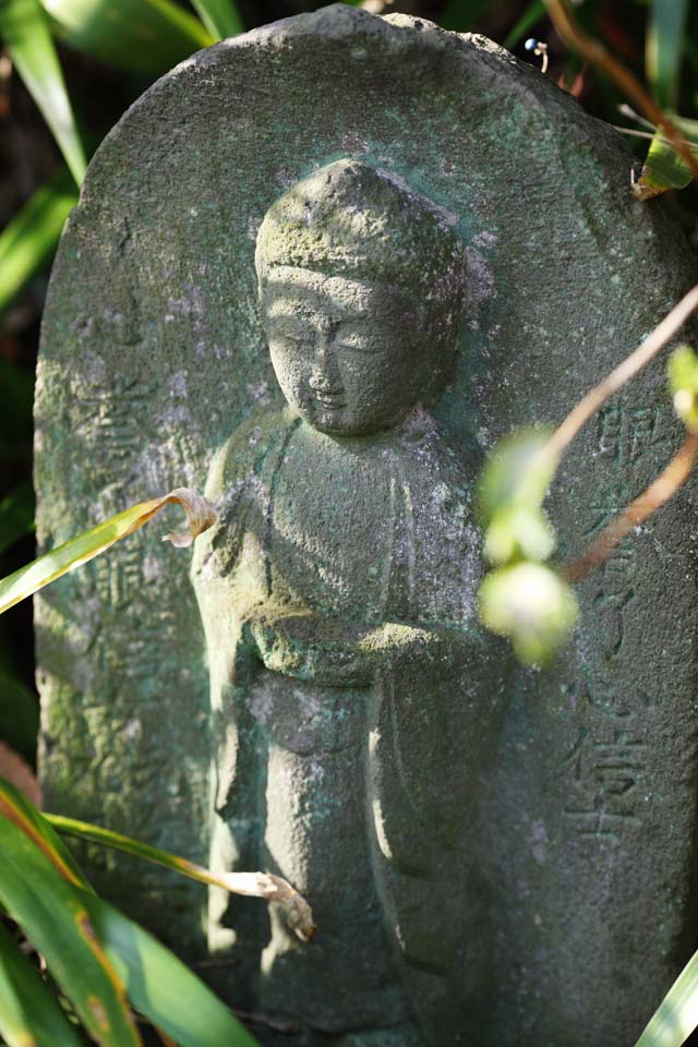 Foto, materiell, befreit, Landschaft, Bild, hat Foto auf Lager,Hase-dera-Tempel Ishibotoke, steinigen Sie Statue, Grass, Buddhismus, Chaitya