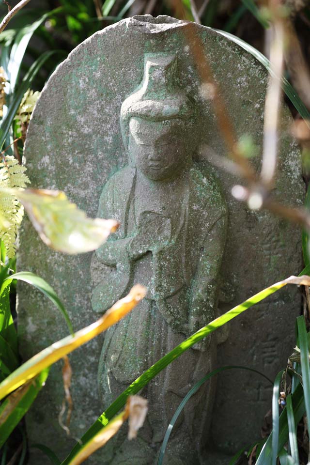 Foto, materieel, vrij, landschap, schilderstuk, bevoorraden foto,Hase-dera Temple Ishibotoke, Stenig standbeeld, Gras, Boeddhisme, Chaitya